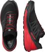 Picture of SALOMON - SENSE RIDE 4